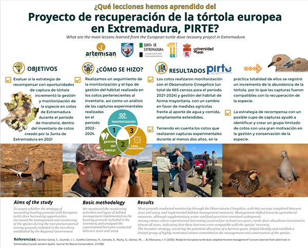 proyecto de la tórtola en revista trofeo caza