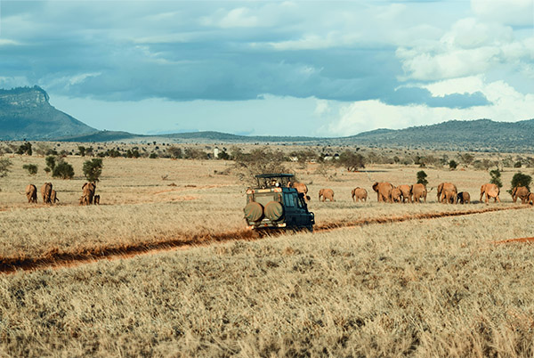 safari en revista trofeo caza