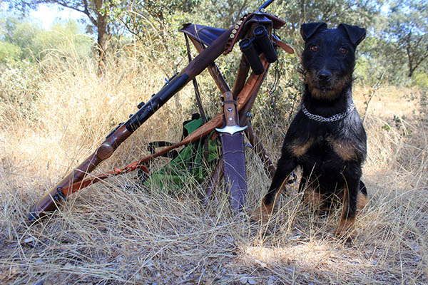 terrier en revista trofeo caza