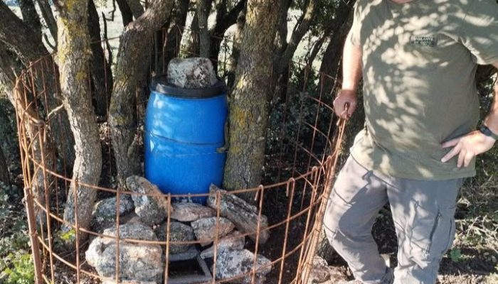 Gestión de cotos en Trofeo caza